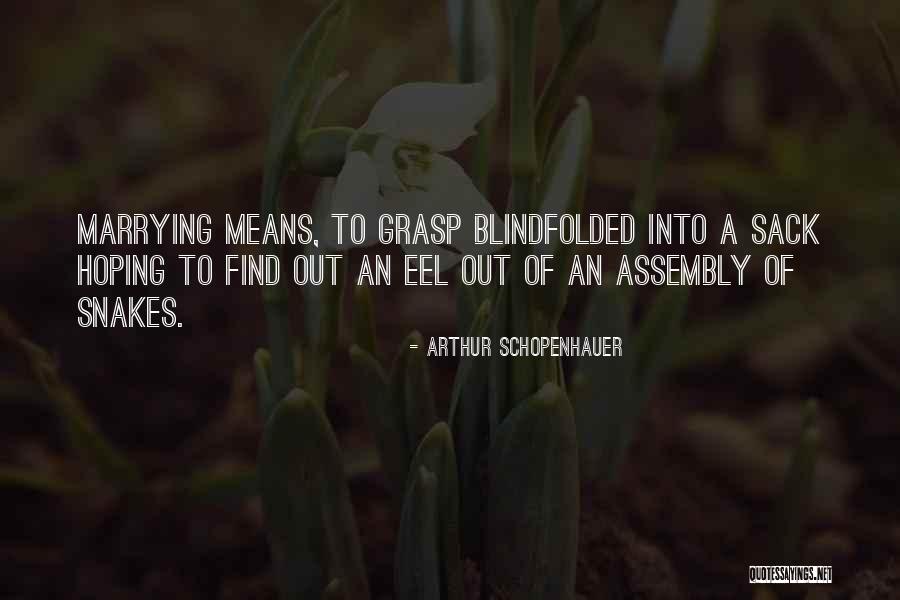Arthur Schopenhauer Quotes 1979573 Arthur Schopenhauer Quotes 1979573