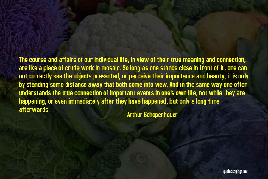 Arthur Schopenhauer Quotes 519768