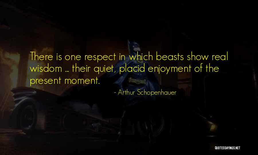 Arthur Schopenhauer Quotes 812482