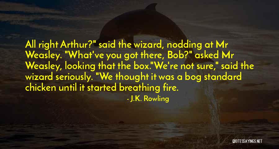 Arthur Weasley Quotes By J.K. Rowling Arthur Weasley Quotes By J.K. Rowling