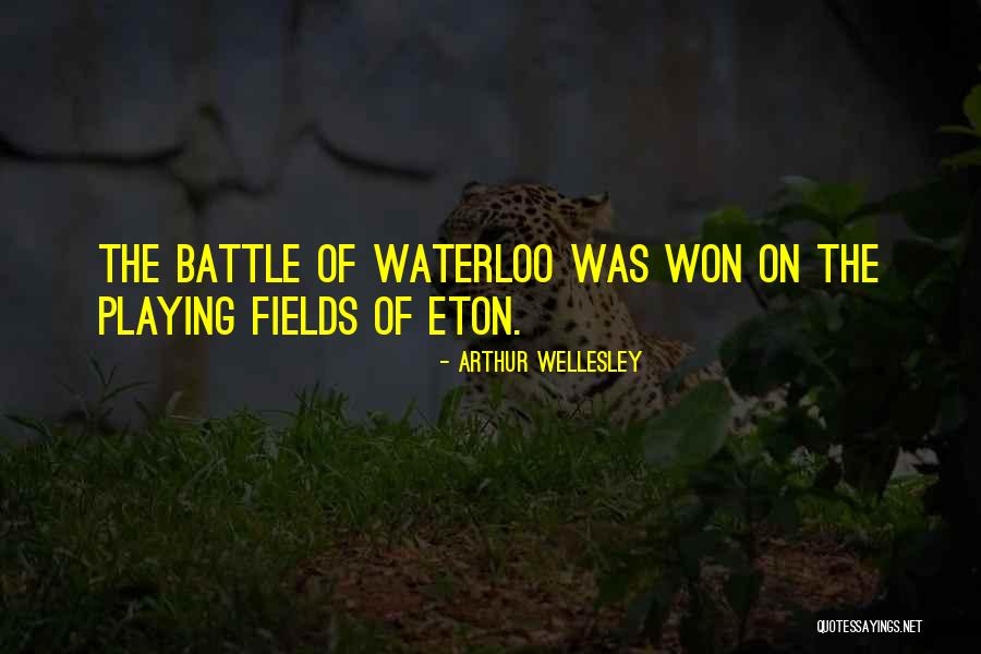 Arthur Wellesley Quotes 763906