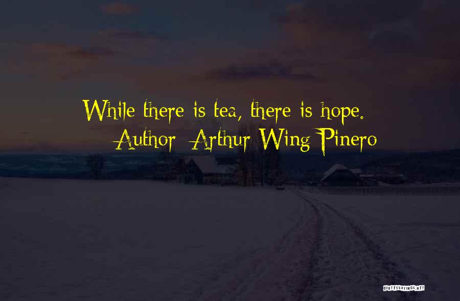 Arthur Wing Pinero Quotes 345733