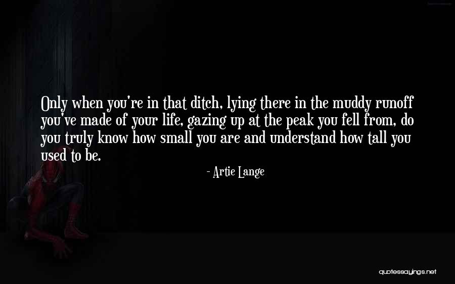 Artie Lange Quotes 1784488