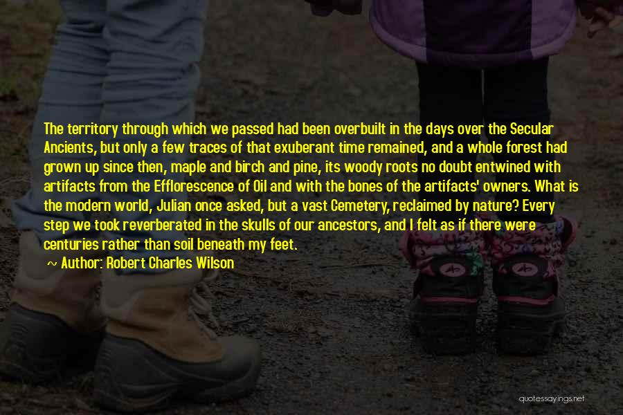Artifacts Quotes By Robert Charles Wilson