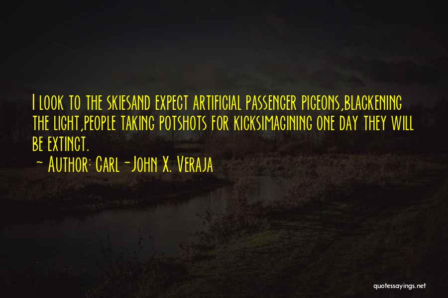 Artificial Light Quotes By Carl-John X. Veraja