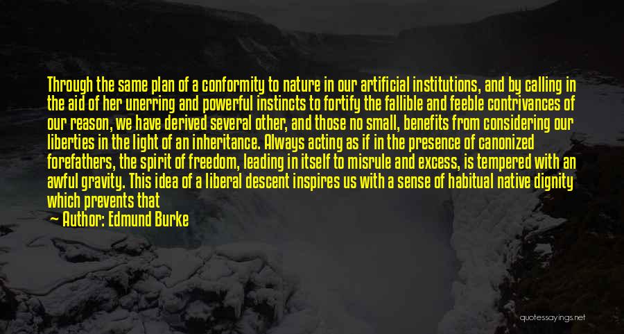 Artificial Light Quotes By Edmund Burke
