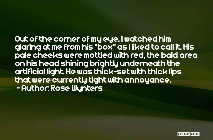 Artificial Light Quotes By Rose Wynters