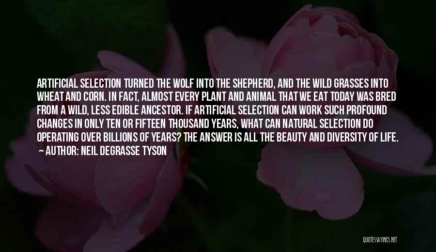 Artificial Selection Quotes By Neil DeGrasse Tyson