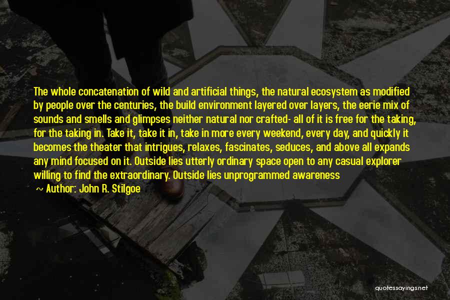 Artificial Things Quotes By John R. Stilgoe