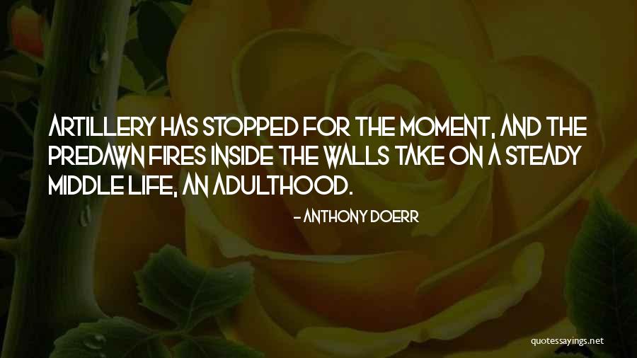 Artillery Quotes By Anthony Doerr