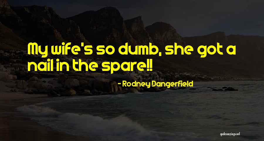 Artinian Theory Quotes By Rodney Dangerfield Artinian Theory Quotes By Rodney Dangerfield