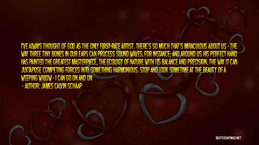 Artist And God Quotes By James Calvin Schaap