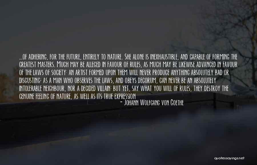 Artist Future Quotes By Johann Wolfgang Von Goethe