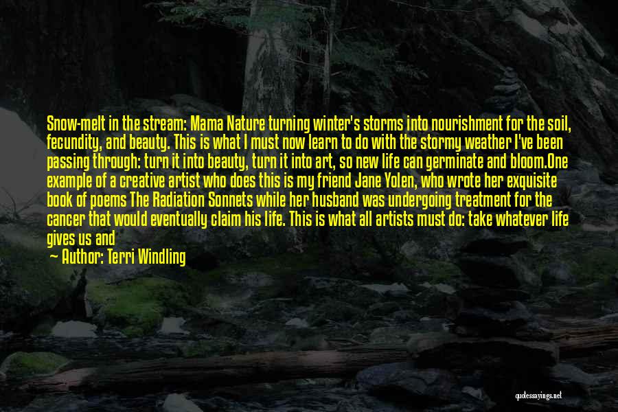 Artist Life Quotes By Terri Windling Artist Life Quotes By Terri Windling