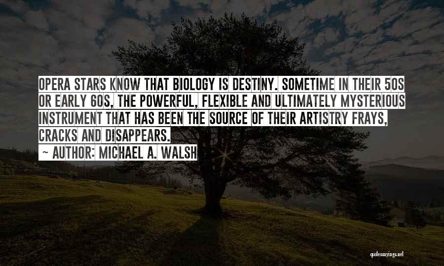 Artistry Quotes By Michael A. Walsh