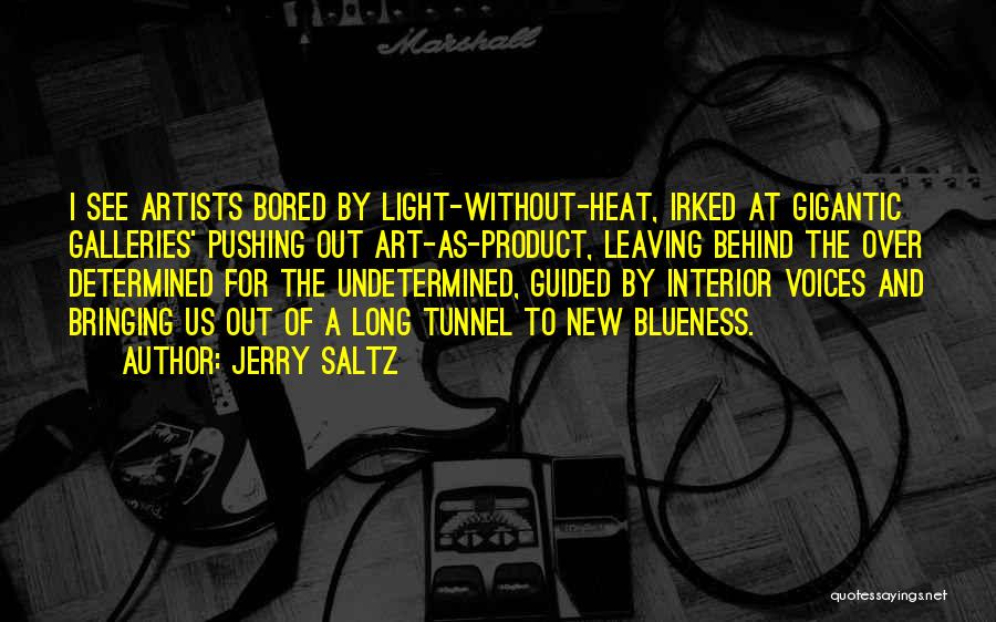 Artists And Art Quotes By Jerry Saltz