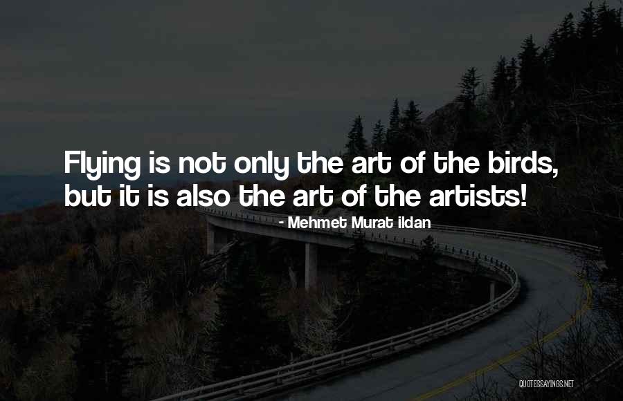 Artists Quotes Quotes By Mehmet Murat Ildan Artists Quotes Quotes By Mehmet Murat Ildan