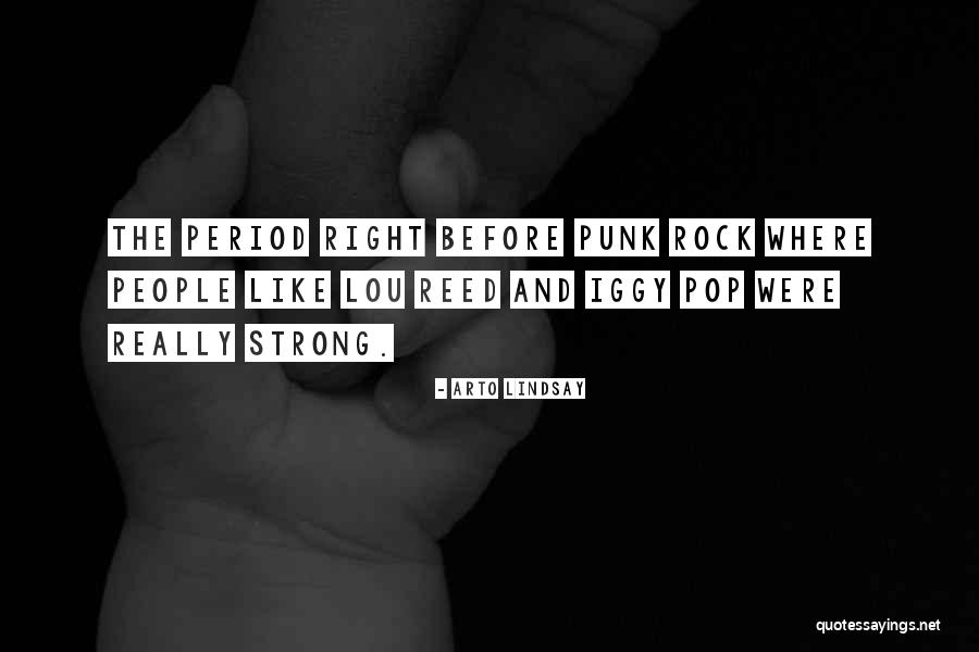 Arto Lindsay Quotes 2106379