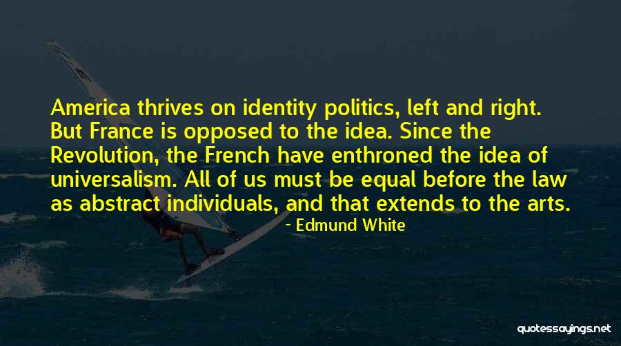 Arts And Politics Quotes By Edmund White