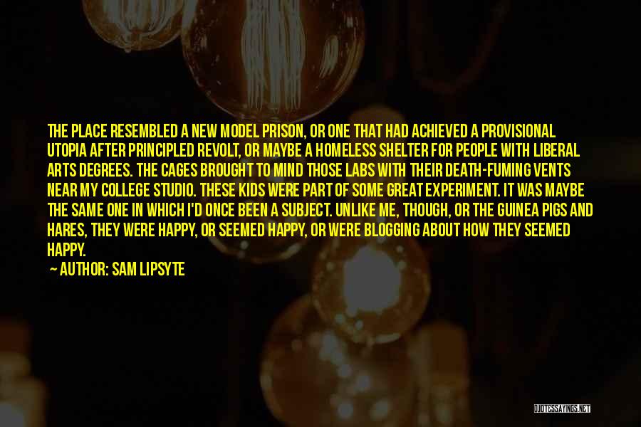 Arts Degrees Quotes By Sam Lipsyte