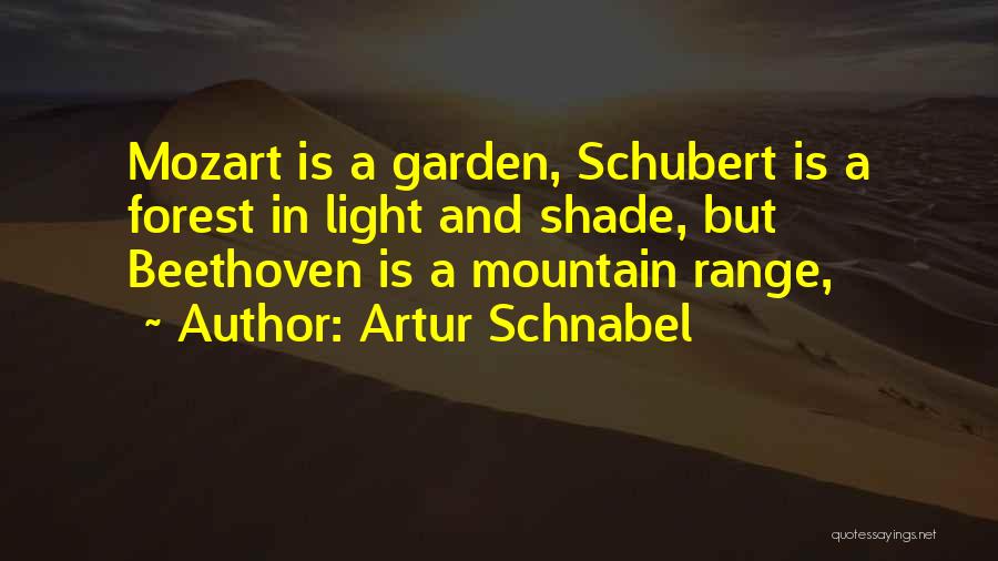 Artur Schnabel Quotes 981453