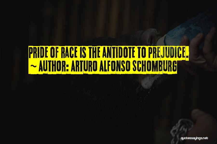 Arturo Alfonso Schomburg Quotes 2059478
