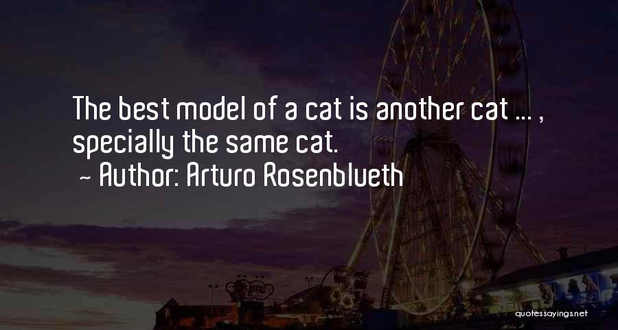 Arturo Rosenblueth Quotes 793935