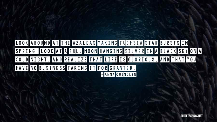 Arunchal Hopea Quotes By Anna Quindlen Arunchal Hopea Quotes By Anna Quindlen