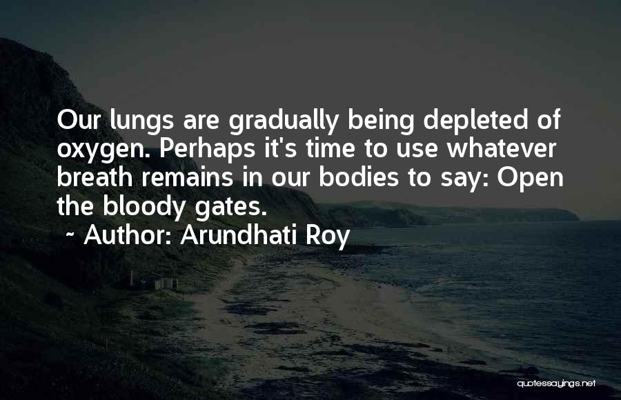 Arundhati Roy Quotes 1303824