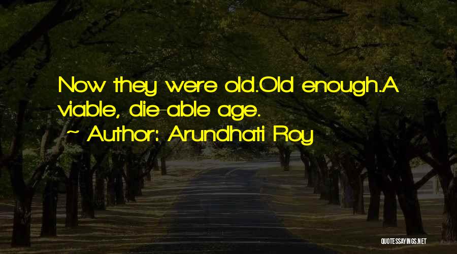 Arundhati Roy Quotes 1677563