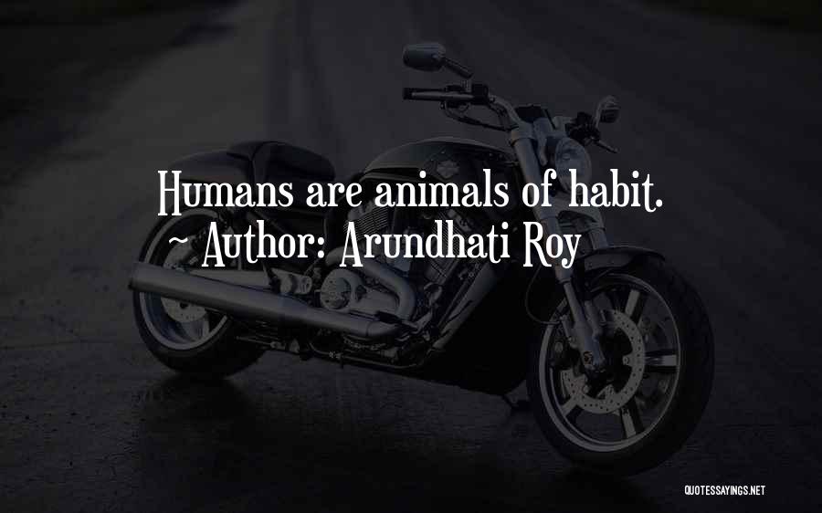 Arundhati Roy Quotes 962926