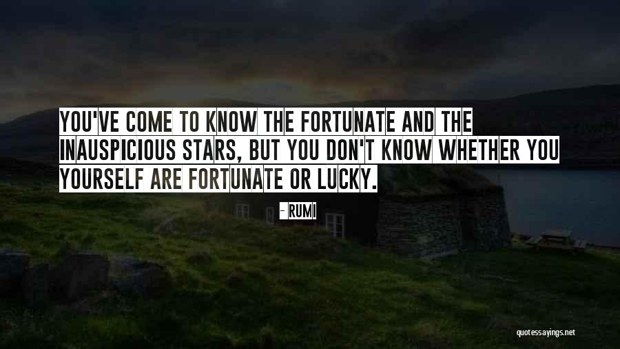 Arvidson Chiropractic Tilton Quotes By Rumi Arvidson Chiropractic Tilton Quotes By Rumi
