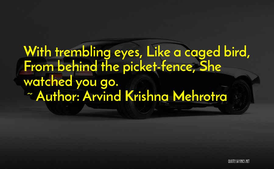 Arvind Krishna Mehrotra Quotes 1104085