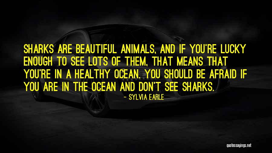 Arzak China Quotes By Sylvia Earle Arzak China Quotes By Sylvia Earle