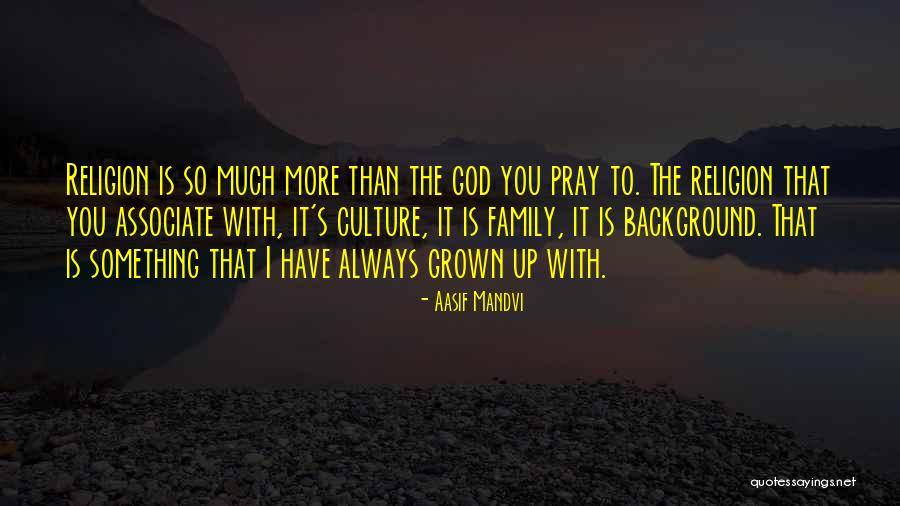 Arzinian Quotes By Aasif Mandvi Arzinian Quotes By Aasif Mandvi