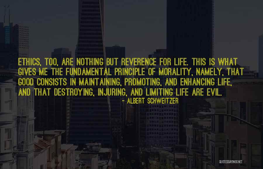 Arzular Quotes By Albert Schweitzer Arzular Quotes By Albert Schweitzer