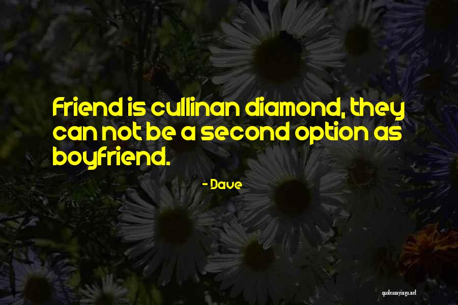 As A Boyfriend Quotes By Dave