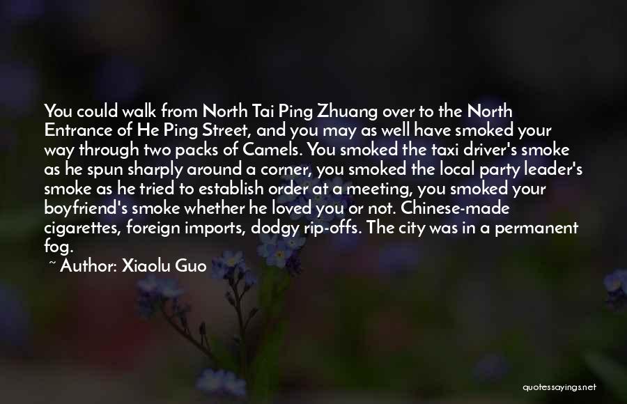 As A Boyfriend Quotes By Xiaolu Guo
