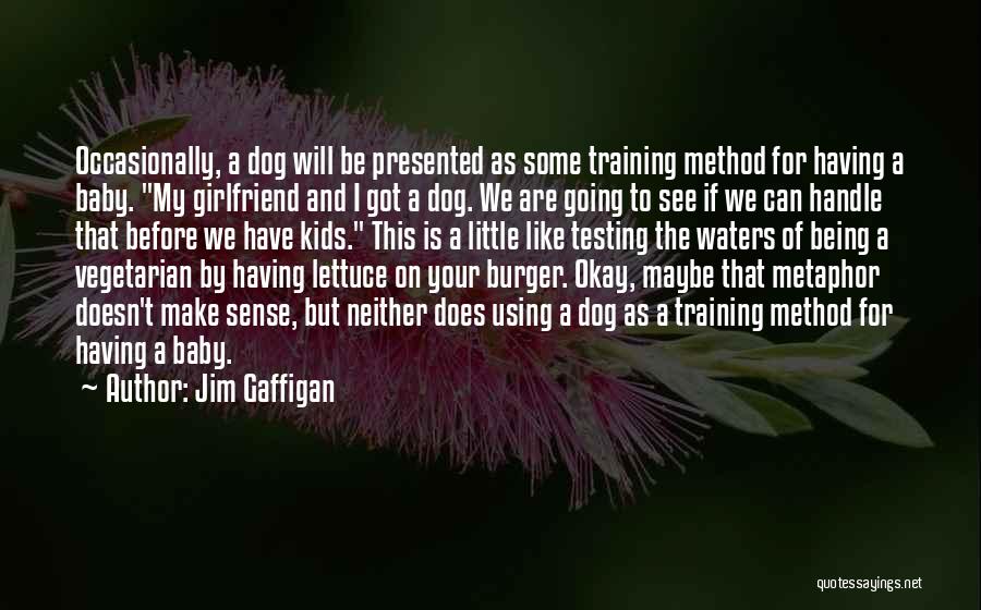 As A Girlfriend Quotes By Jim Gaffigan