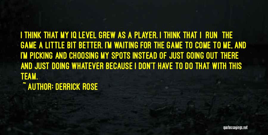 As A Team Quotes By Derrick Rose