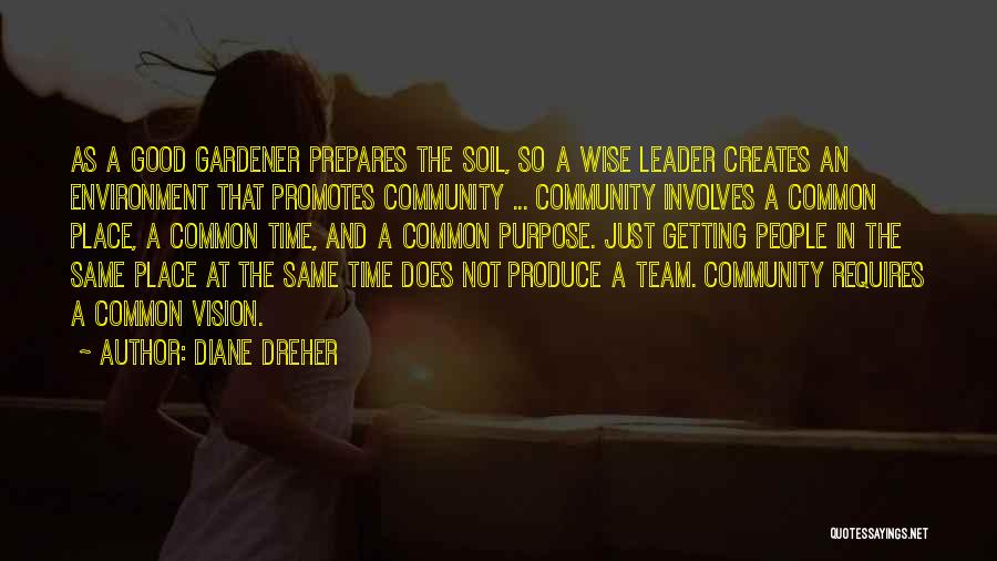 As A Team Quotes By Diane Dreher