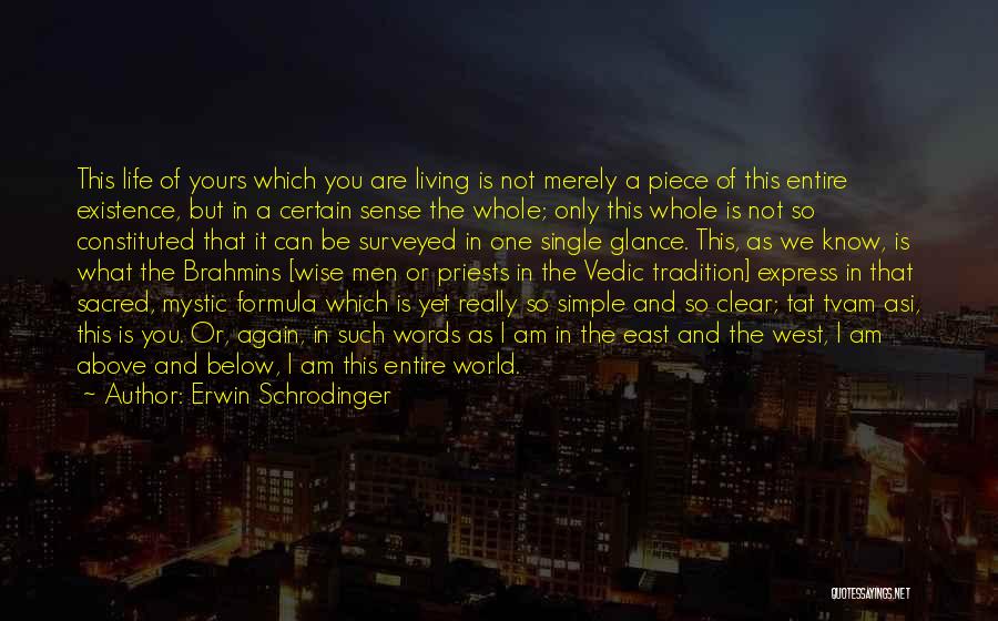 As Above So Below Quotes By Erwin Schrodinger