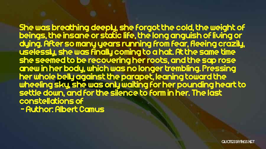 As I Lay Dying Quotes By Albert Camus
