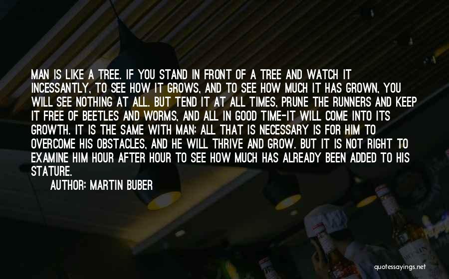 As I Watch You Grow Quotes By Martin Buber