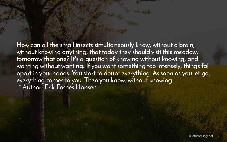 As If You Know Everything Quotes By Erik Fosnes Hansen