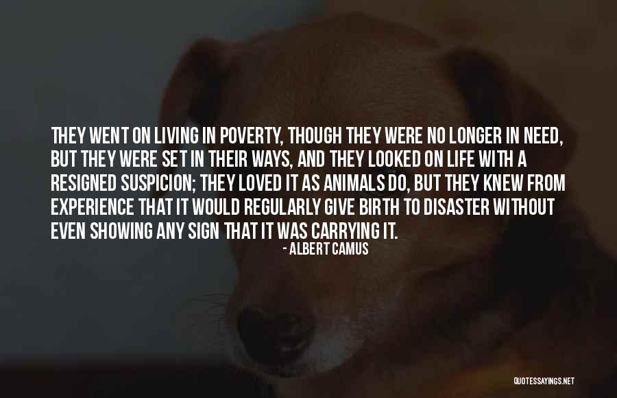 As It Set Quotes By Albert Camus As It Set Quotes By Albert Camus