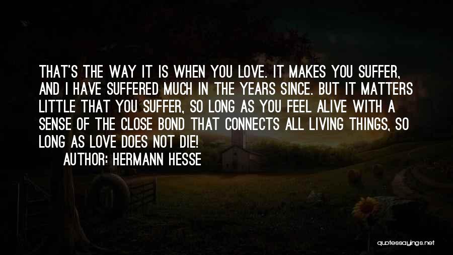 As Long As It Matters Quotes By Hermann Hesse