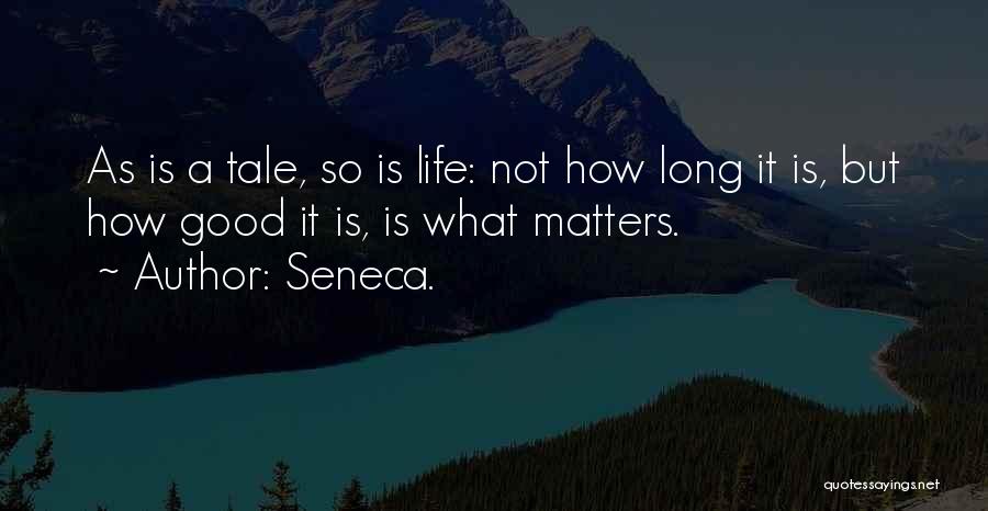 As Long As It Matters Quotes By Seneca.