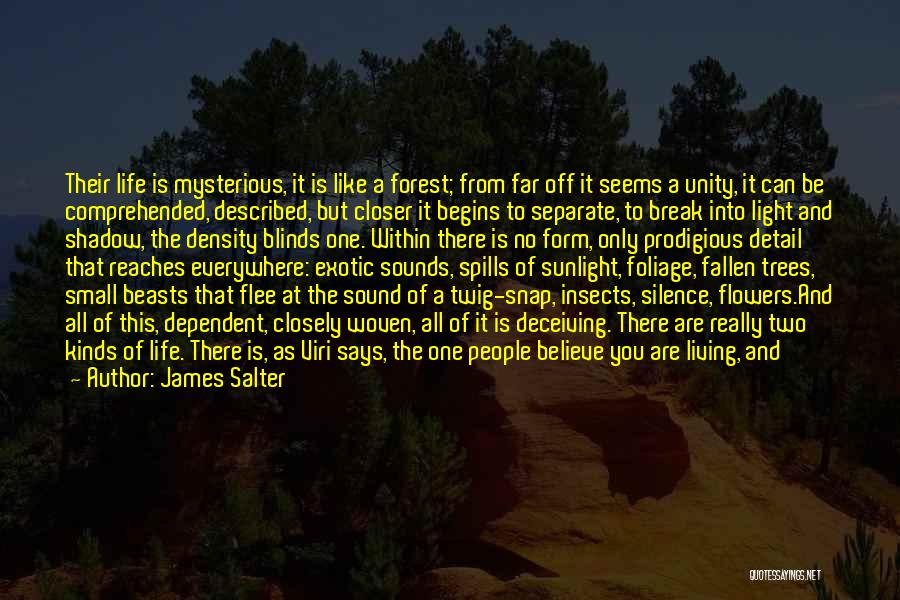 As Long As You Believe Quotes By James Salter