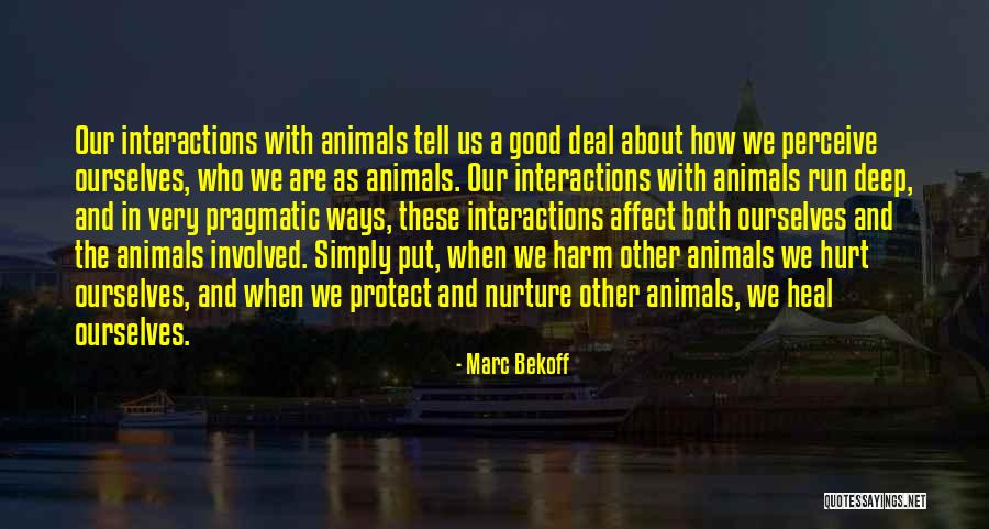 As Meat Loves Salt Quotes By Marc Bekoff As Meat Loves Salt Quotes By Marc Bekoff